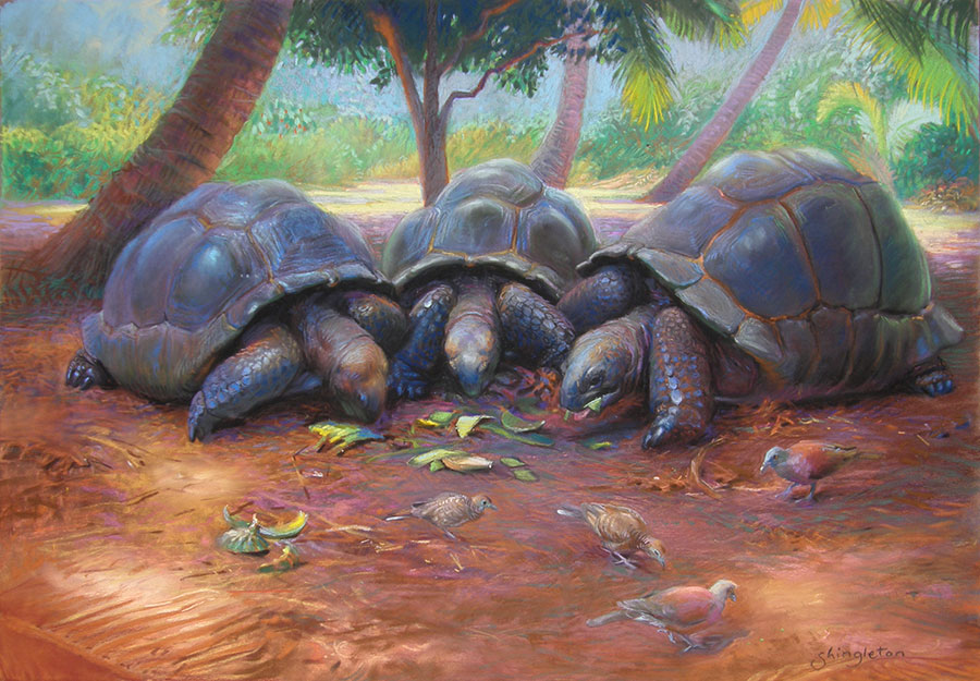 Three tortoises, Anse Lazio, Praslin, Aldabra Giant Tortoises - oil painting