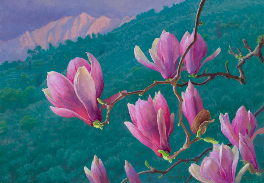 Magnolias and Mount Altissimo